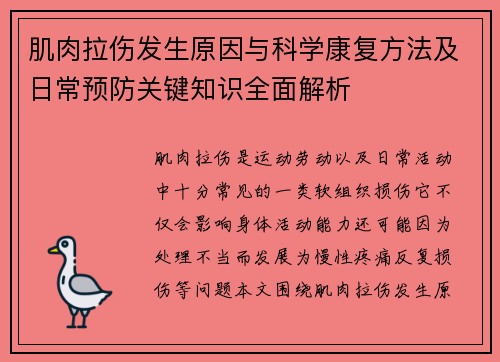 肌肉拉伤发生原因与科学康复方法及日常预防关键知识全面解析